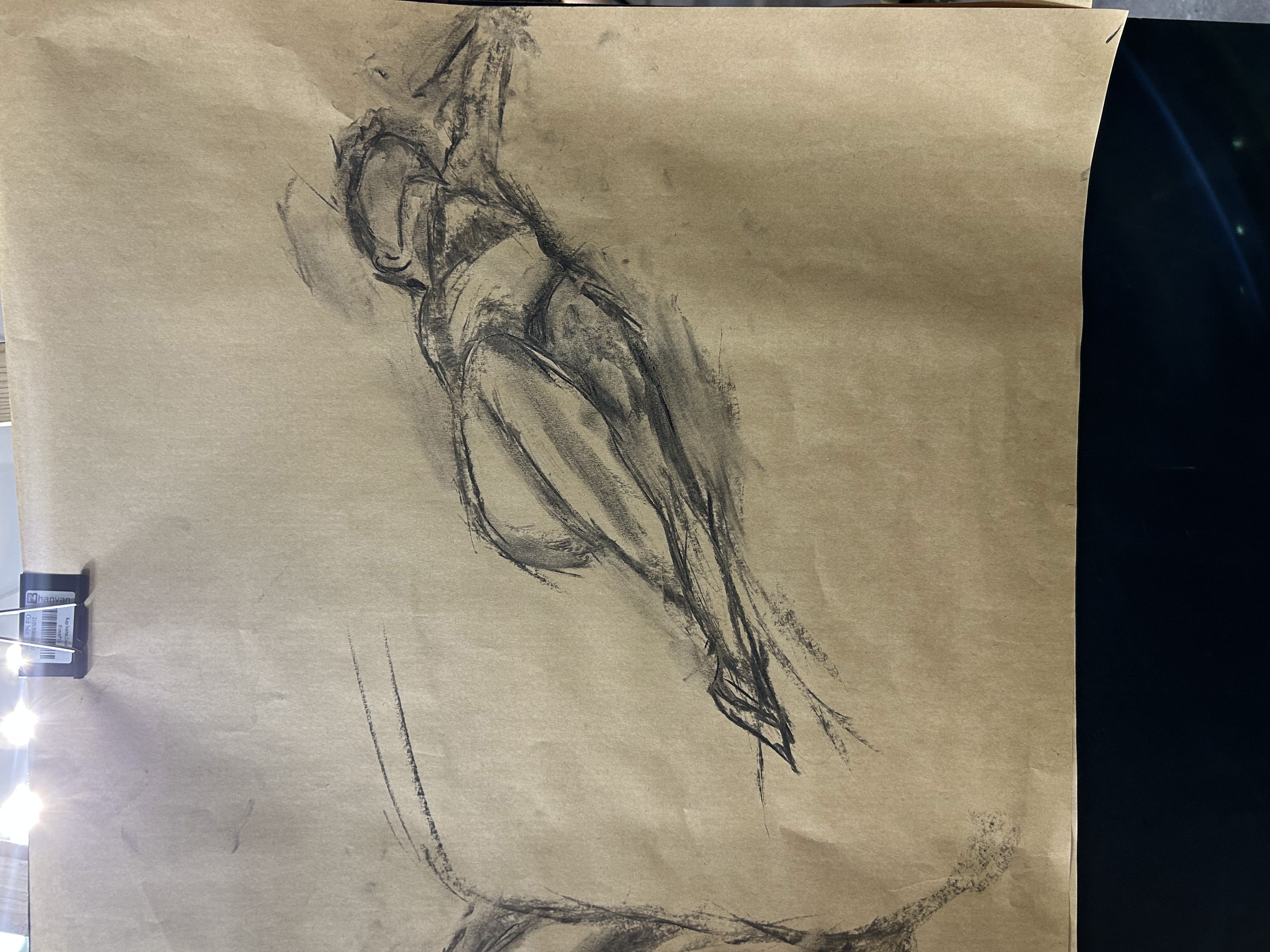 (signed) This Is Not What Thought / Yuri Hasegawa